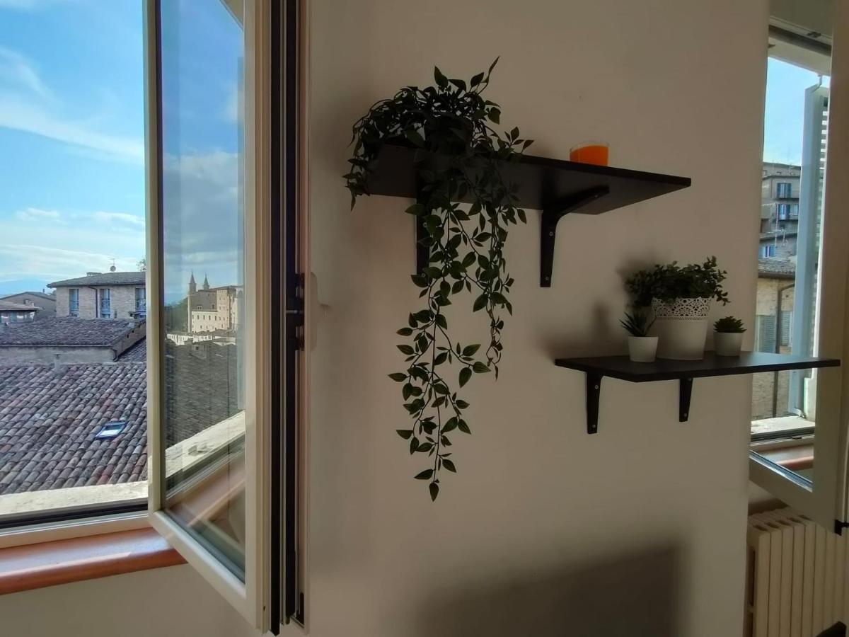 Il Cielo Di Raffaello Apartment Urbino Ngoại thất bức ảnh